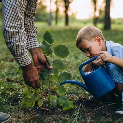 Trump Accounts A New Option for Childrens Long-Term Savings